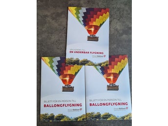Upplevelse Luftballong