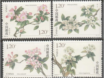 KINA - KINESISKA BLOMMOR**