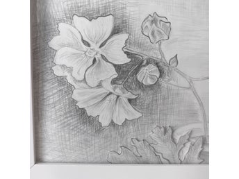 Blommor Blyertsteckning inramad