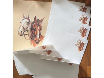 Brevpapper set med hästmotiv från 80-talet nostalgi! Kuvert och brevpapper