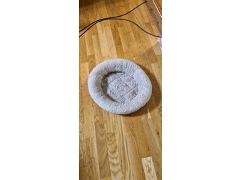 Kattbädd