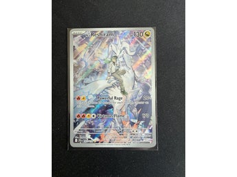 N's Reshiram