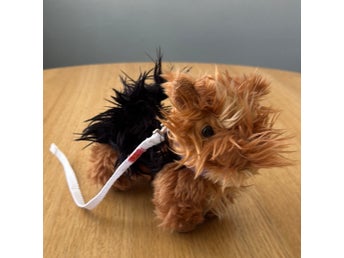 Leksakshund Yorkshireterrier med koppel