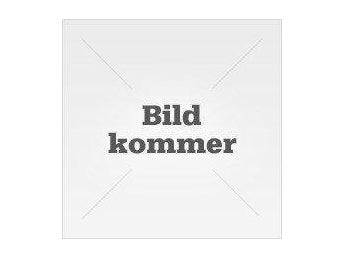 Inlärningsprocessens psykologi och inlärningsmaskiner av K. B. Madsen
