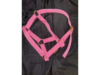 NY / oanvänd fölgrimma - Rosa från Globus