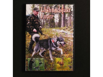 Löshundsjakt i norr