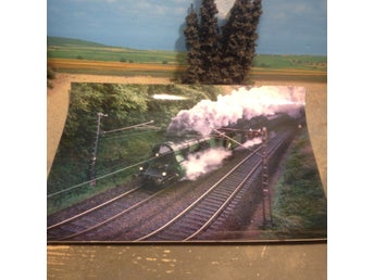Foto