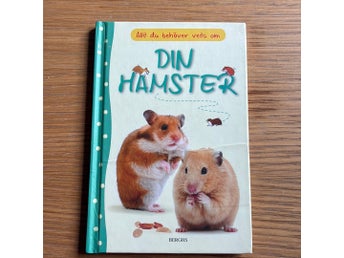 Allt du behöver veta om Din Hamster