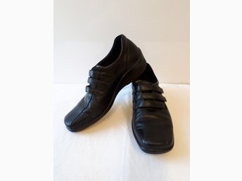 ecco light shock point