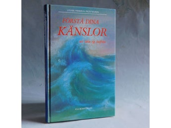 Förstå dina känslor och läka sig inifrån. Louise Minerva Frostegren