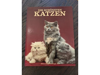 fotobok med olika katter