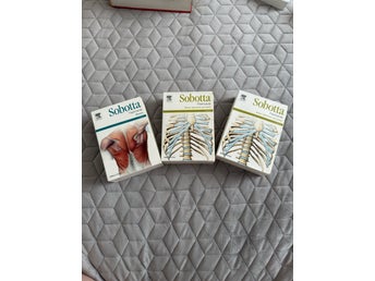 Sobotta Flashcards Muskler, Ben, ligament och leder