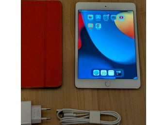 iPad mini 4 i braskick