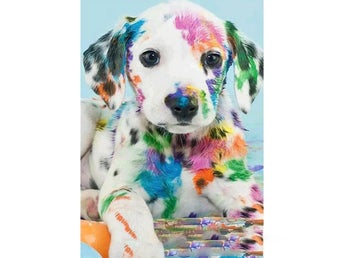 Valp - Diamond Painting - 40x30