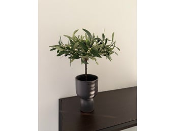 Konstgjort olivträd från Mio