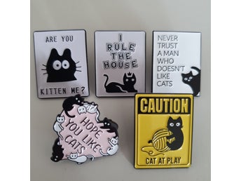 5st pin katt