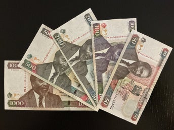 Kenya set 50 100 200 500 1000 shillings sedlar 2010 ovikta/UNC