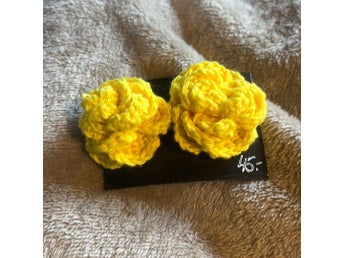 2 rosor solgul