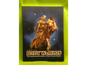 Gunther von Hagens' Body worlds the anatomical exhibition of real human bodies