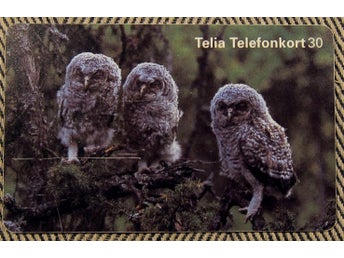 Telia Telefonkort 30 markeringar Retro Foto Ellen Carlsson Uggla