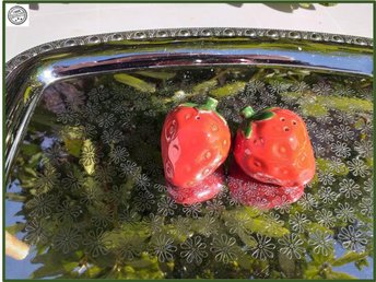 Fantasifull Salt Och Peppar 287495929 á Kidzorama Handelshus Pa Tradera fantasifull salt och pepparstroare i form av paret jordgubbar som nya