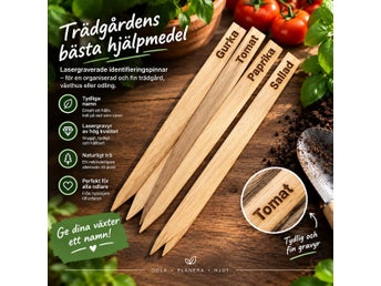 Lasergraverade växtetiketter - valfritt namn !
