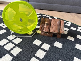 Hamsterhjul och litet hus, oanvända