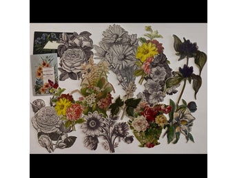 Die-cuts Layers Botanical Blommor Dekorationer till Junk Journal Tim Holtz
