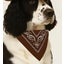 Oanvänd brun snusnäsduk bandana till hund stl L längd 76cm
