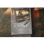 In the Cut - DVD image 3